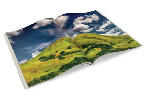 brochure printing edinburgh